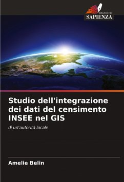 Studio dell'integrazione dei dati del censimento INSEE nel GIS - Belin, Amélie