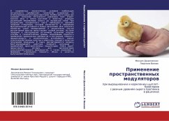 Cover Primenenie prostranstwennyh modulqtorow