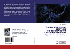 Morfologicheskie faktory biomehanicheskoj nadezhnosti nerwow - Kalmin, O. V.