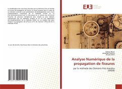 Analyse Numérique de la propagation de fissures - Elkori, Rabiaa;Hachim, Abdelilah;Salmi, Houda