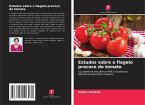 Estudos sobre o flagelo precoce do tomate