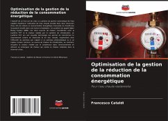 Optimisation de la gestion de la réduction de la consommation énergétique - Cataldi, Francesco