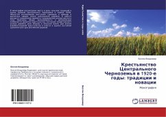 Krest'qnstwo Central'nogo Chernozem'q w 1920-e gody: tradicii i nowacii - Vladimir, Bezgin