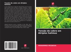 Tensão do cobre em Atriplex halimus - Mesnoua, Mohammed