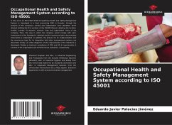 Occupational Health and Safety Management System according to ISO 45001 - Palacios Jiménez, Eduardo Javier