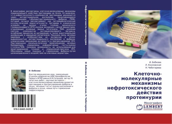 Kletochno-molekulqrnye mehanizmy nefrotoxicheskogo dejstwiq proteinurii