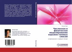 Cover Chislennoe i fizicheskoe modelirowanie wzrywow gazowyh smesej