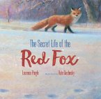 The Secret Life of the Red Fox (eBook, ePUB)