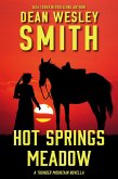 Hot Springs Meadow: A Thunder Mountain Novella (eBook, ePUB)