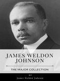 James Weldon Johnson – The Major Collection (eBook, ePUB)