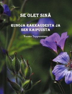 Se olet sinä (eBook, ePUB)