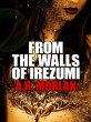 From the Walls of Irezumi (eBook, ePUB) - Bild 1