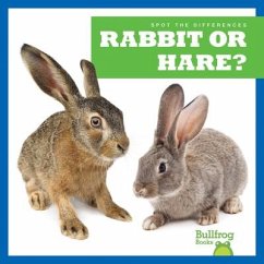 Rabbit or Hare? - Rice, Jamie