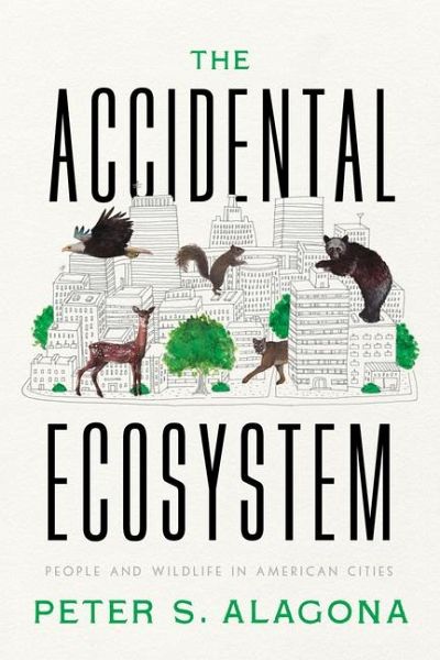 The Accidental Ecosystem The Accidental Ecosystem