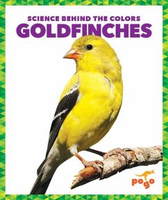 Goldfinches - Klepeis, Alicia Z