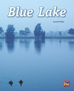 Cover Blue Lake