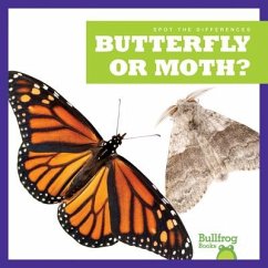 Butterfly or Moth? - Zimmerman, Adeline J