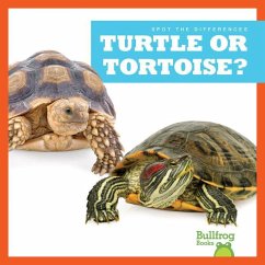 Turtle or Tortoise? - Rice, Jamie