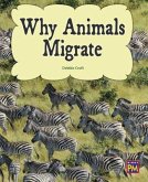 Why Animals Migrate