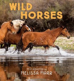 Wild Horses - Marr, Melissa