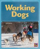 Working Dogs