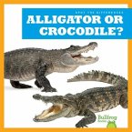 Alligator or Crocodile?