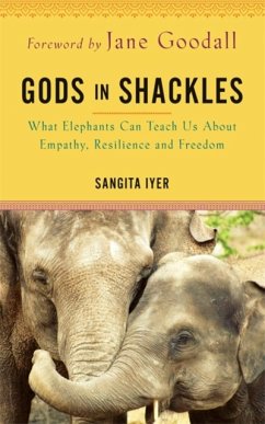 Gods in Shackles - Iyer, Sangita