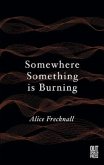 Somewhere Something is Burning (eBook, ePUB)