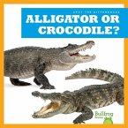 Alligator or Crocodile?