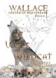 Wolf and Wildcat (eBook, ePUB) - Bild 1