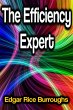 The Efficiency Expert (eBook, ePUB) - Bild 1