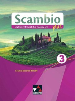 Scambio plus 3 Grammatisches Beiheft - Stenzenberger, Martin