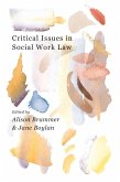 Critical Issues in Social Work Law (eBook, ePUB)