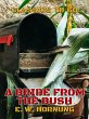 A Bride from the Bush (eBook, ePUB) - Bild 1
