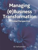 Managing (e)Business Transformation (eBook, PDF)