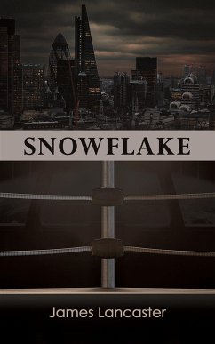 Cover Snowflake (eBook, ePUB)
