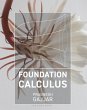 Foundation Calculus (eBook, PDF) - Bild 1