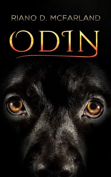 Odin (eBook, ePUB)
