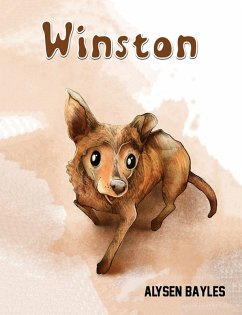 Cover Winston (eBook, ePUB)