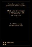 Maß- und Gradfragen im Wirtschaftsrecht (eBook, PDF)