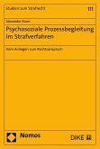 Psychosoziale Prozessbegleitung im Strafverfahren (eBook, PDF)