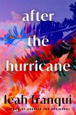 After the Hurricane (eBook, ePUB)