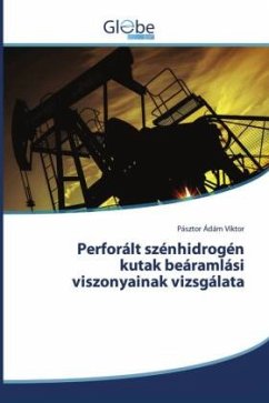 Perforált szénhidrogén kutak beáramlási viszonyainak vizsgálata - Ádám Viktor, Pásztor