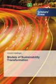 Models of Sustainability Transformation