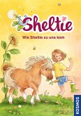 Wie Sheltie zu uns kam / Sheltie Bd.1