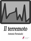 Il terremoto (eBook, ePUB)