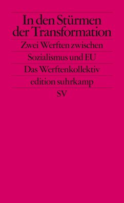 In den Stürmen der Transformation - Ther, Philipp;Brunnbauer, Ulf;Filipkowski, Piotr