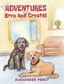 Adventures of Bryn and Crystal (eBook, ePUB)