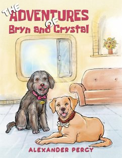 Cover Adventures of Bryn and Crystal (eBook, ePUB)
