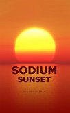 Sodium Sunset (eBook, ePUB)